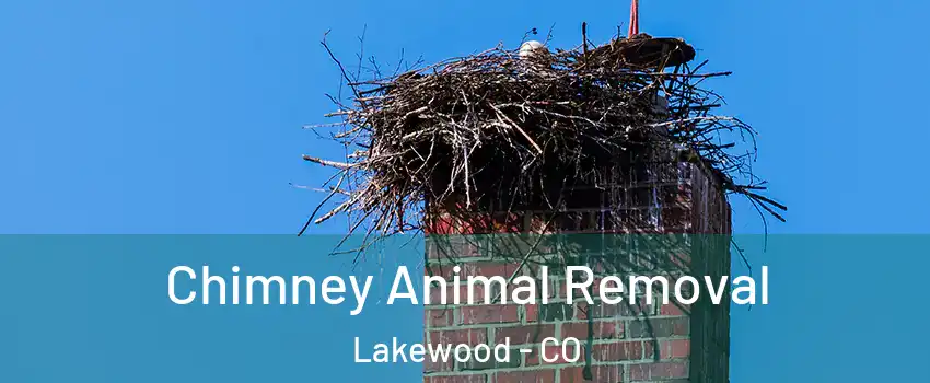  Chimney Animal Removal Lakewood - CO