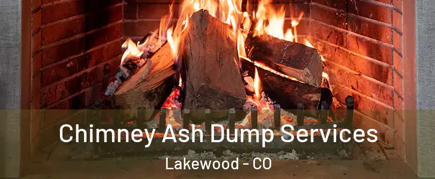  Chimney Ash Dump Services Lakewood - CO