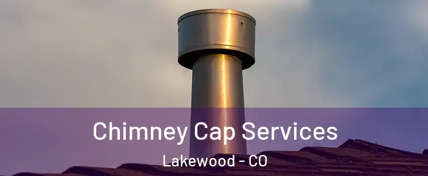  Chimney Cap Services Lakewood - CO