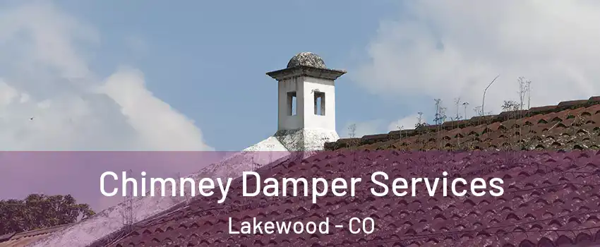  Chimney Damper Services Lakewood - CO