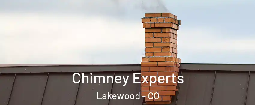  Chimney Experts Lakewood - CO