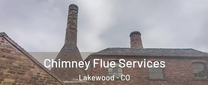  Chimney Flue Services Lakewood - CO