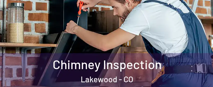  Chimney Inspection Lakewood - CO