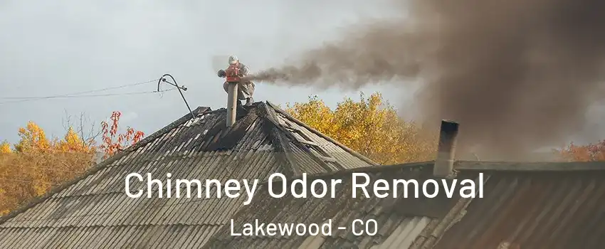  Chimney Odor Removal Lakewood - CO