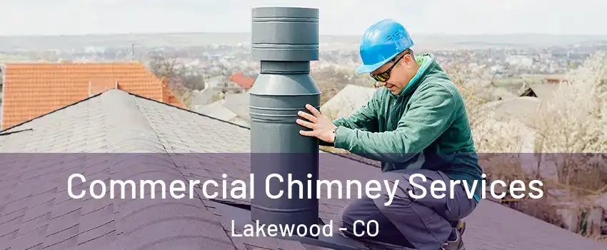  Commercial Chimney Services Lakewood - CO