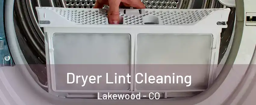  Dryer Lint Cleaning Lakewood - CO