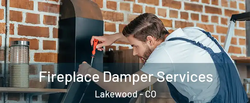  Fireplace Damper Services Lakewood - CO