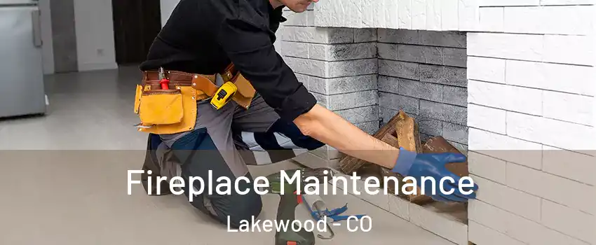  Fireplace Maintenance Lakewood - CO