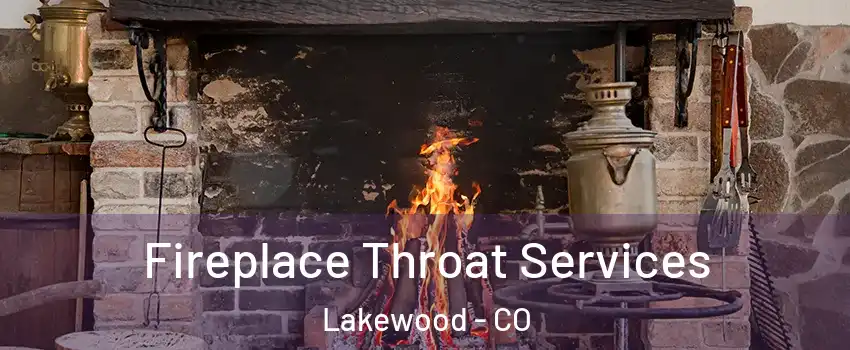  Fireplace Throat Services Lakewood - CO
