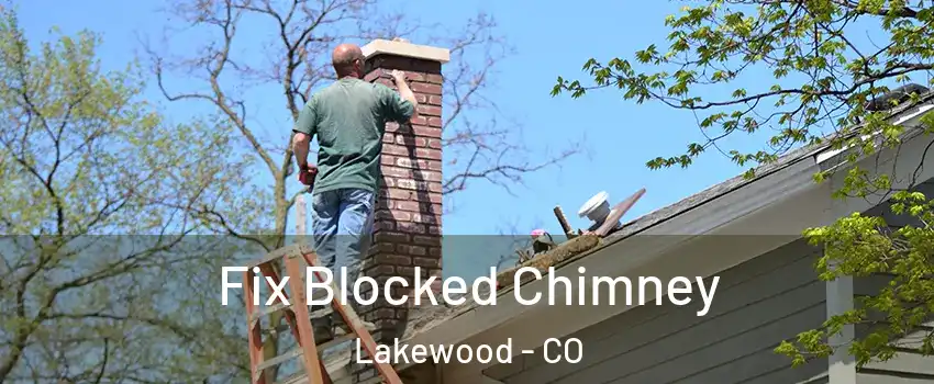  Fix Blocked Chimney Lakewood - CO