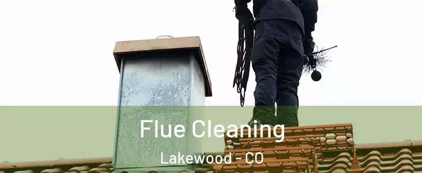  Flue Cleaning Lakewood - CO