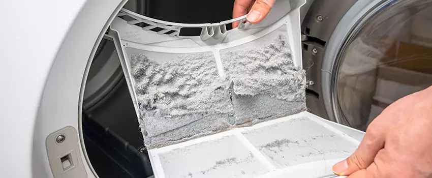 Best Dryer Lint Removal Company in Lakewood, Colorado