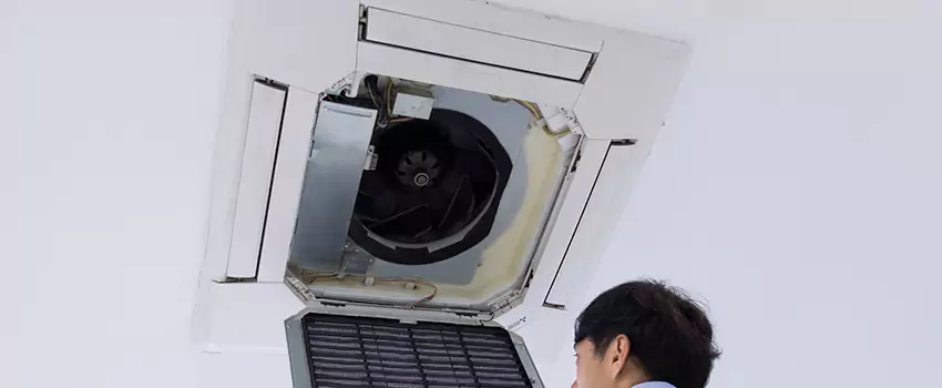 Benefits of Professional Air Duct Cleaning in Lakewood, Colorado
