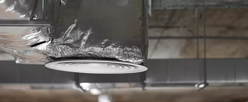 Signs of Dust Accumulation in Vents in Lakewood, CO