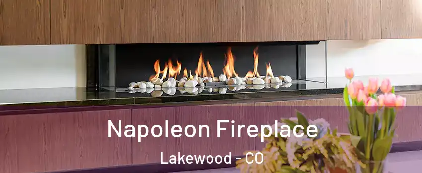  Napoleon Fireplace Lakewood - CO