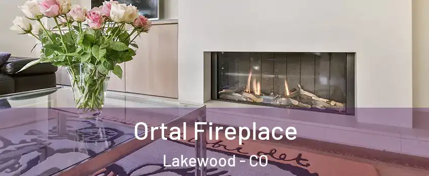  Ortal Fireplace Lakewood - CO