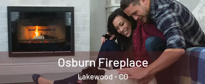  Osburn Fireplace Lakewood - CO